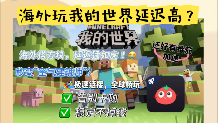 国外怎么玩我的世界教程