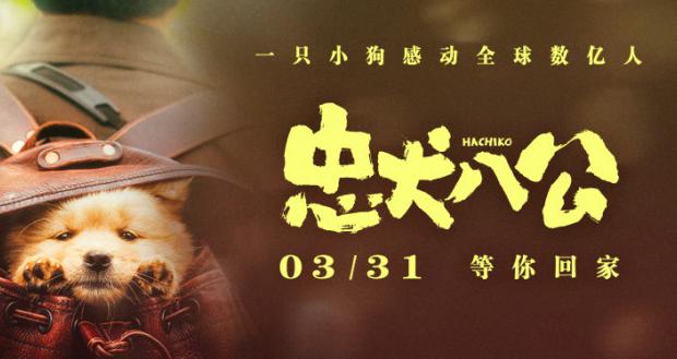 咪咕可以在海外看直播吗教程