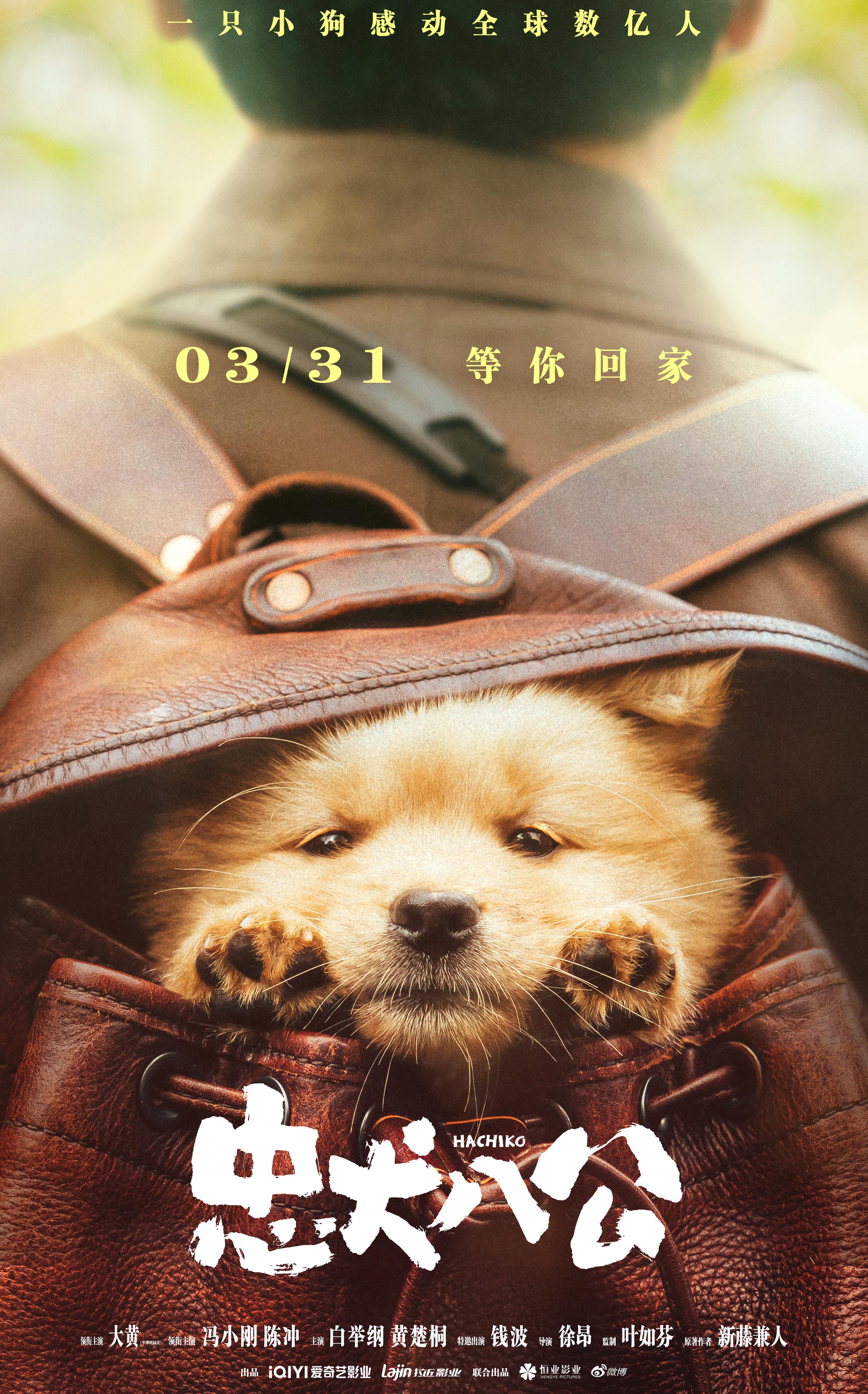 咪咕可以在海外看直播吗教程